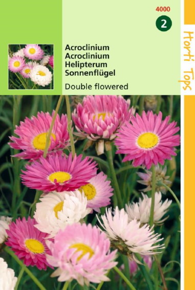 Zonnestrobloem Mix (Helipterum roseum) 400 zaden HT